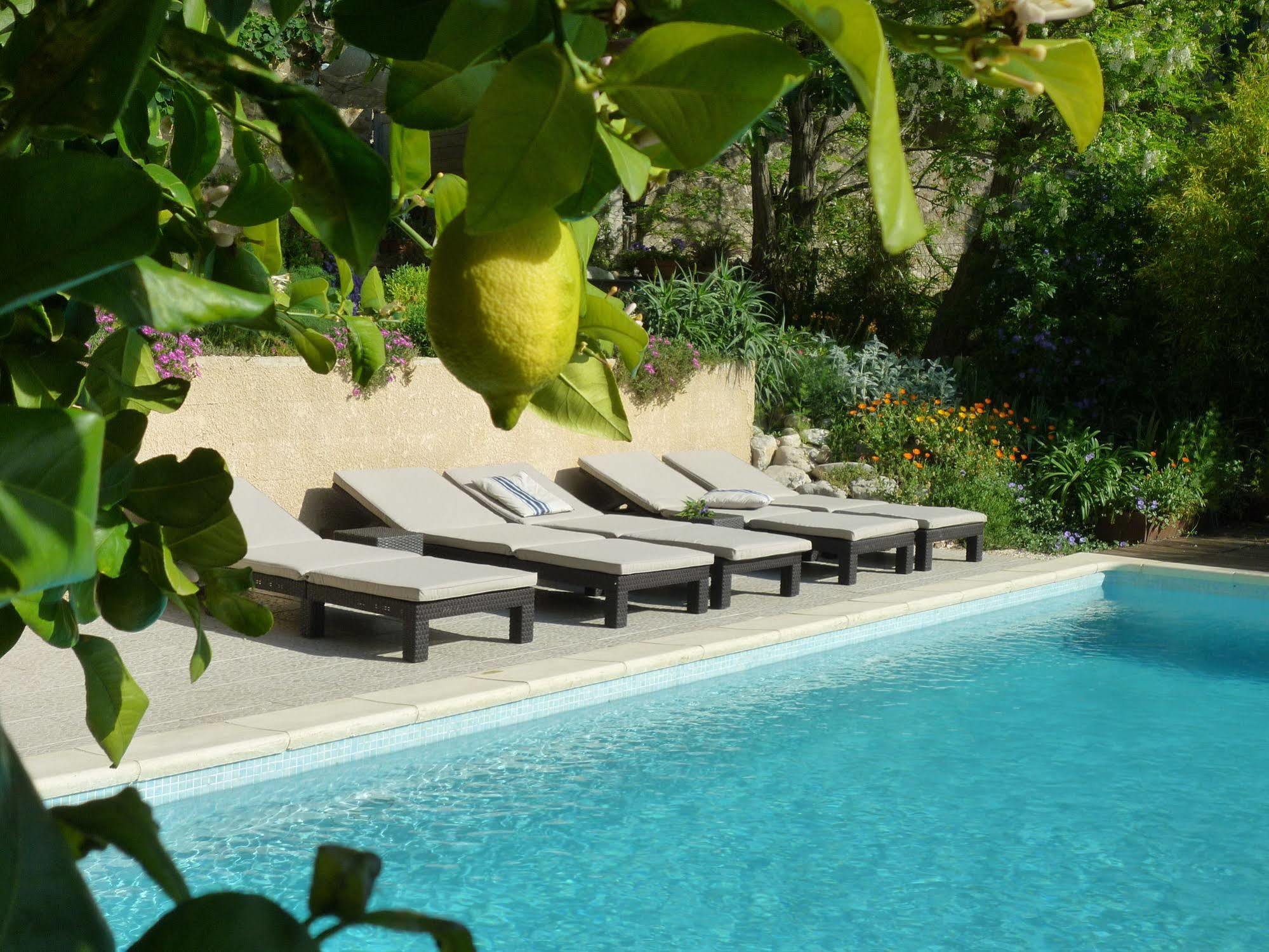 L'Ile Aux Mimosas Bed and Breakfast Tautavel Exterior foto